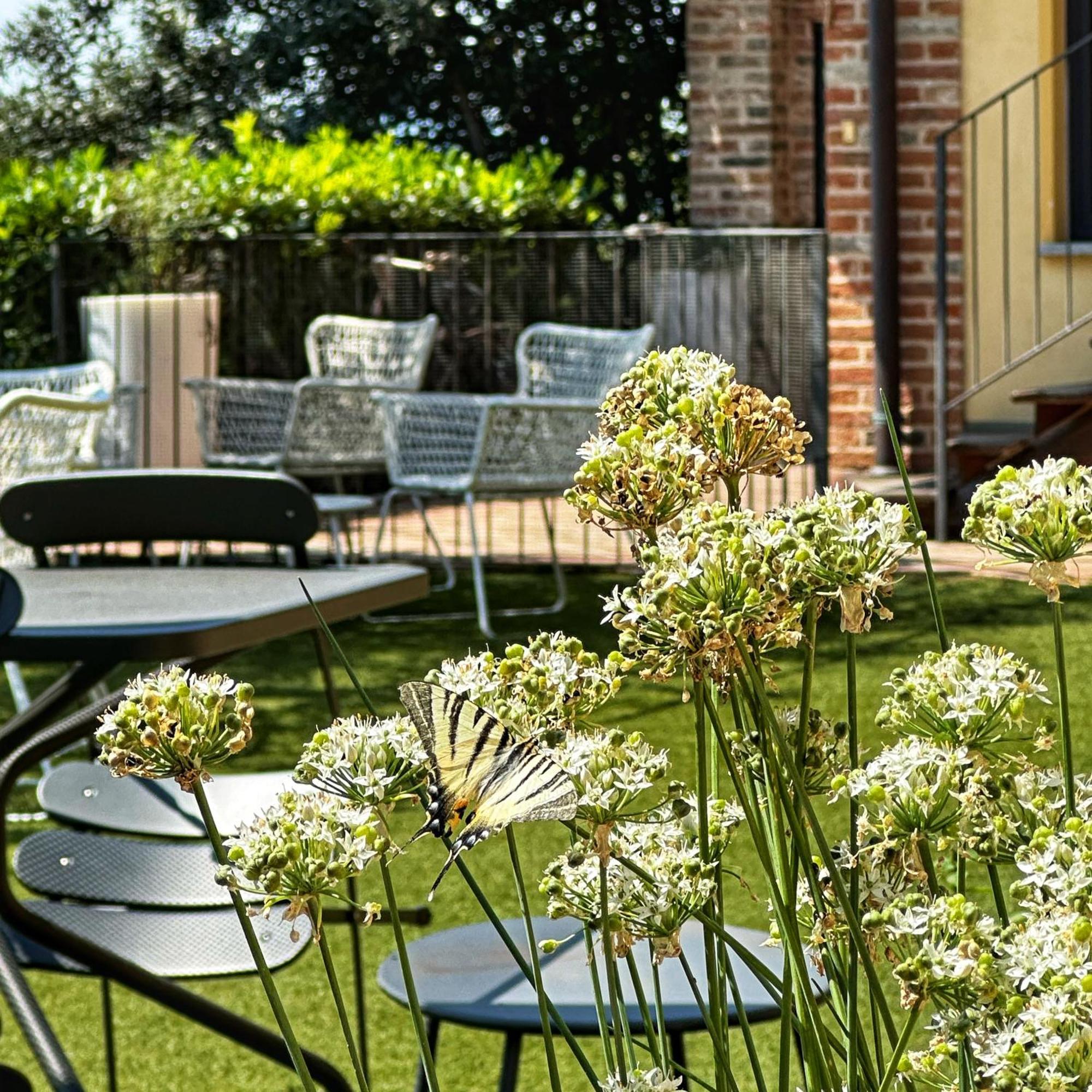 Acquaementa Guest House Brusasco Bagian luar foto